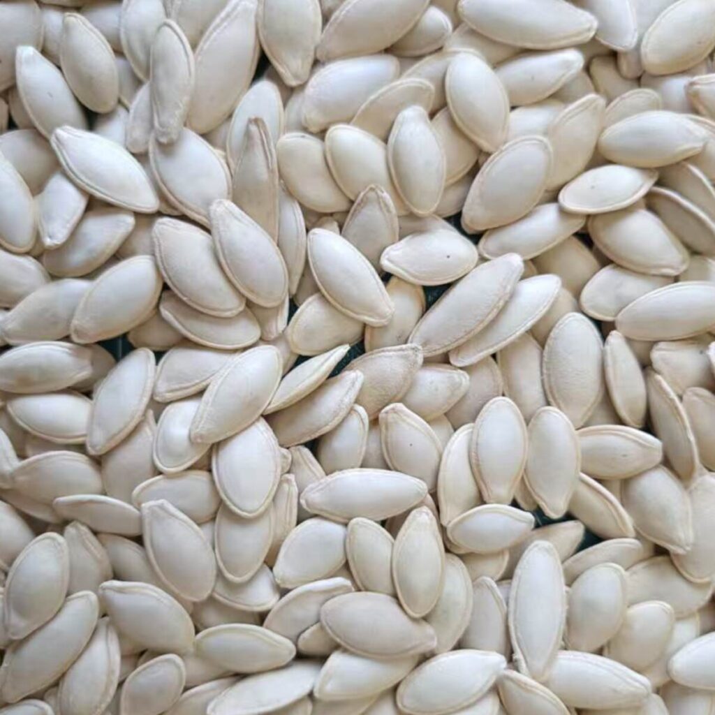 Lady Nail Pumpkin Seeds