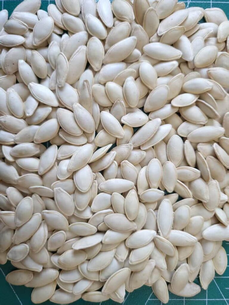 Lady Nail Pumpkin Seeds