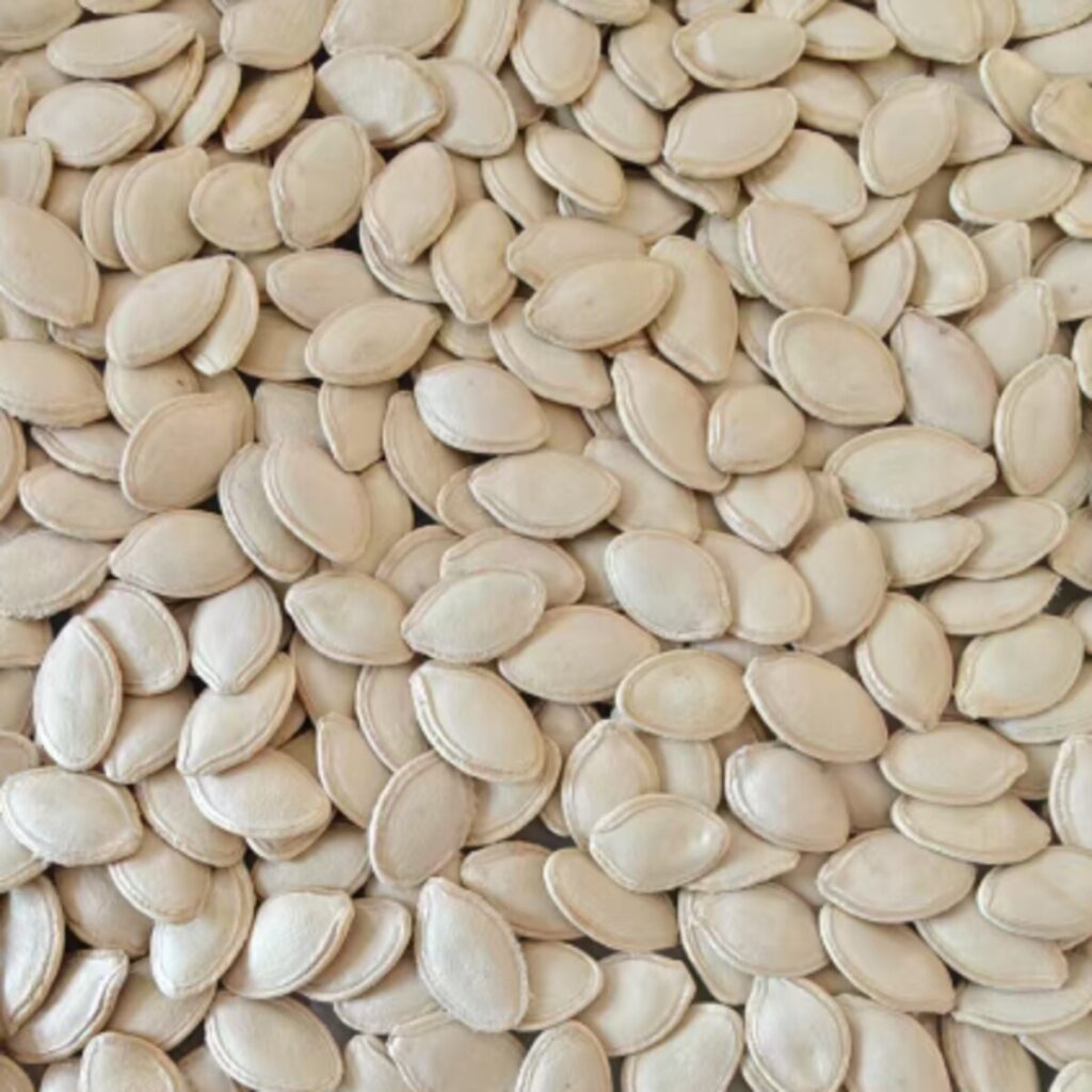 Pumpkin Seeds