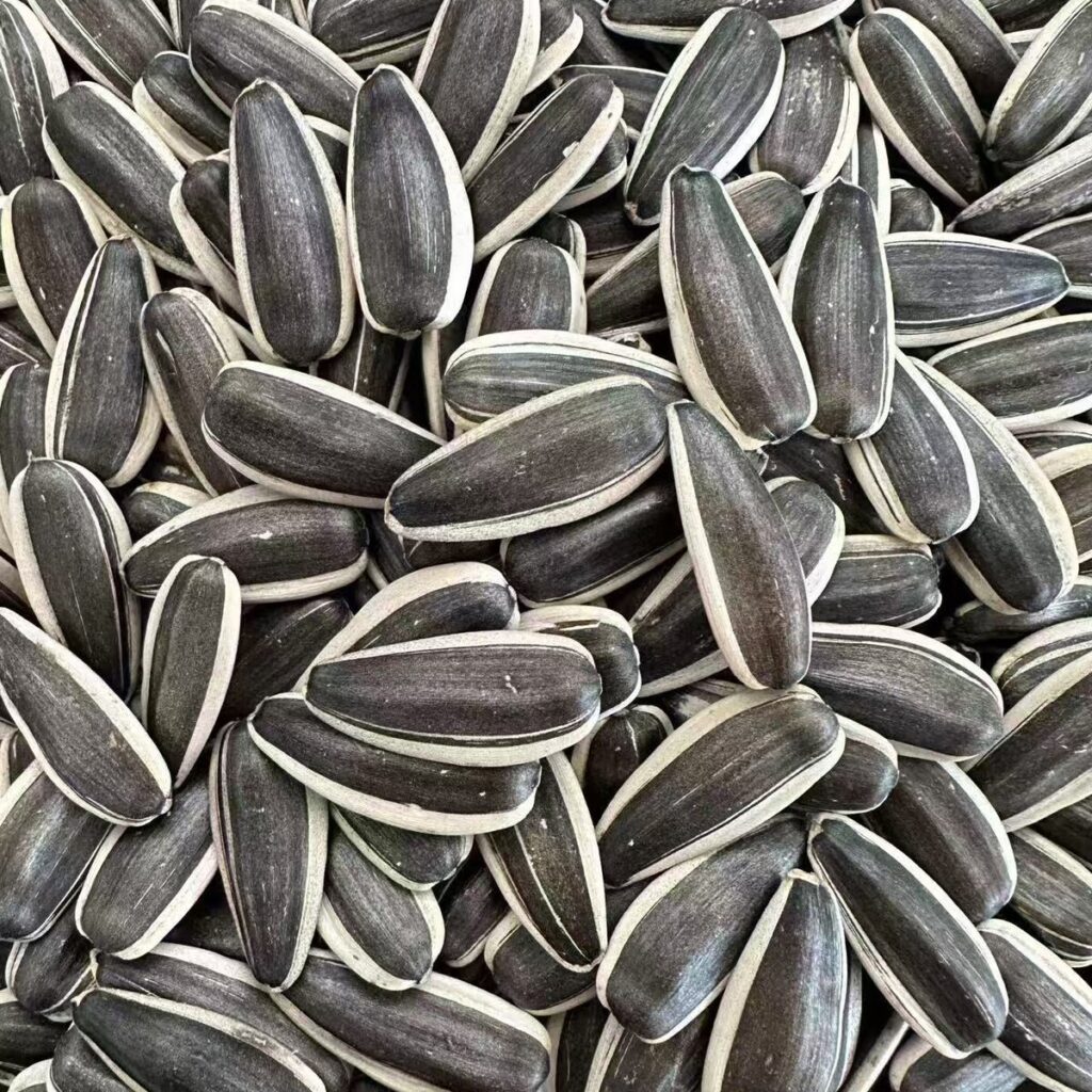 T6 Sunflower Seeds